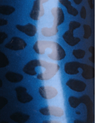 Struktur Latex Blue Leo